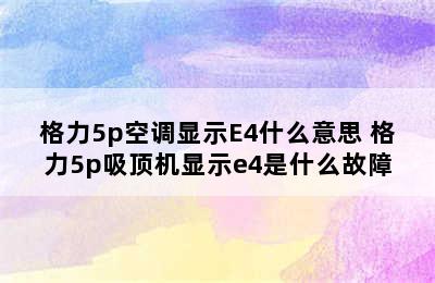 格力5p空调显示E4什么意思 格力5p吸顶机显示e4是什么故障